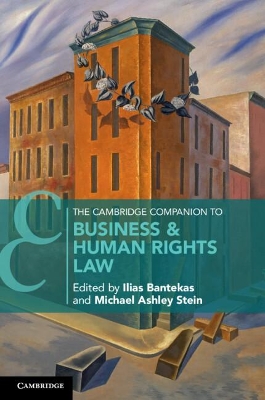 The Cambridge Companion to Business and Human Rights Law by Ilias Bantekas