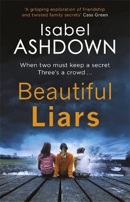 Beautiful Liars book