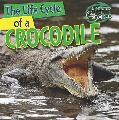 Life Cycle of a Crocodile book