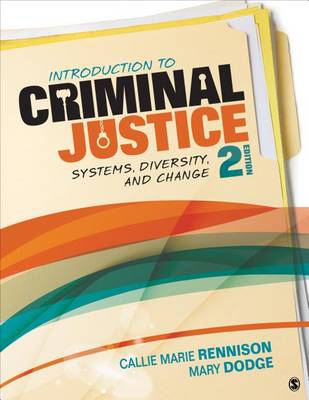 Introduction to Criminal Justice: Systems, Diversity, and Change book