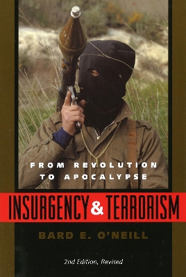 Insurgency and Terrorism book