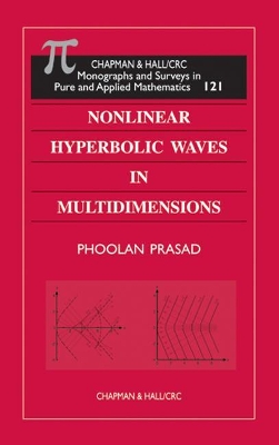 Nonlinear Hyperbolic Waves in Multi-Dimensions book