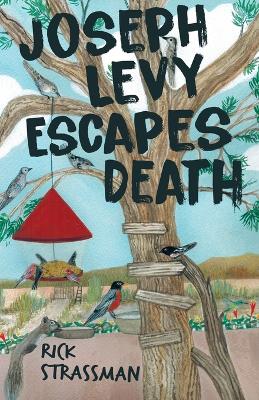 Joseph Levy Escapes Death book