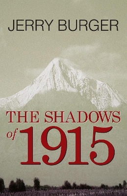 The Shadows of 1915 book