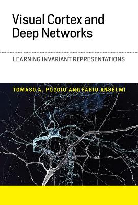 Visual Cortex and Deep Networks book