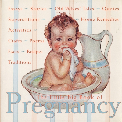 The Little Big Book of Pregnancy book