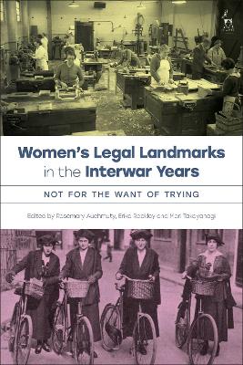 Women’s Legal Landmarks in the Interwar Years: Not for Want of Trying book
