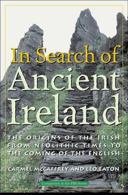 In Search of Ancient Ireland book