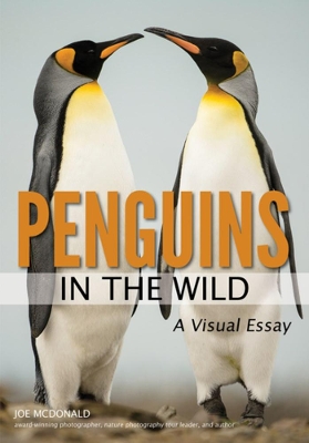 Penguins In The Wild book