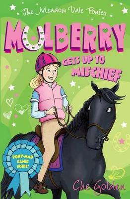 Meadow Vale Ponies: Mulberry Gets up to Mischief book