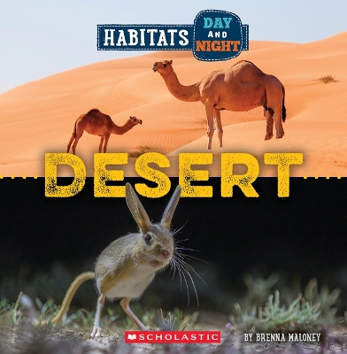 Desert (Wild World: Habitats Day and Night) by Brenna Maloney