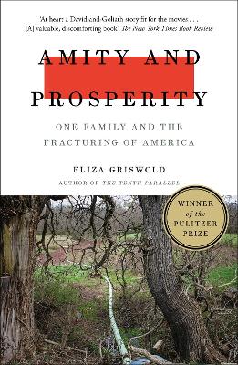 Amity and Prosperity: One Family and the Fracturing of America - Winner of the Pulitzer Prize for Non-Fiction 2019 by Eliza Griswold