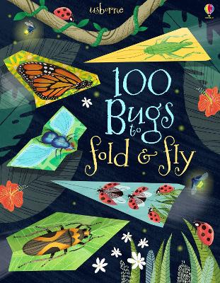 100 Bugs to Fold and Fly book