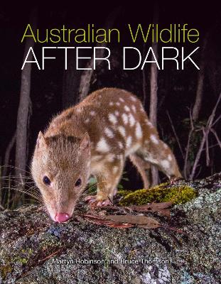 Australian Wildlife After Dark book