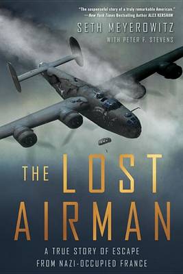Lost Airman by Seth Meyerowitz