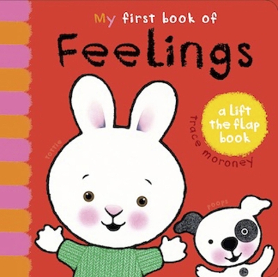 My First Book of Feelings book