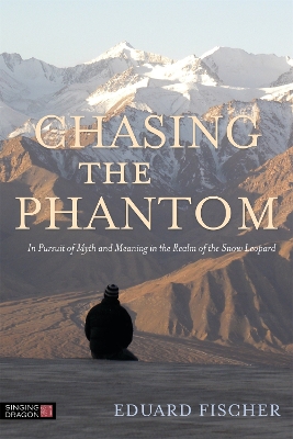 Chasing the Phantom book