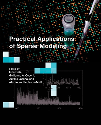 Practical Applications of Sparse Modeling by Irina Rish