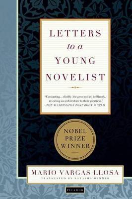 Letters to a Young Novelist book