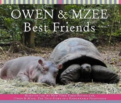 Owen and Mzee Are Friends True by Craig Hatkoff