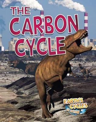 Carbon Cycle book
