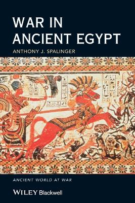War in Ancient Egypt - the New Kingdom book