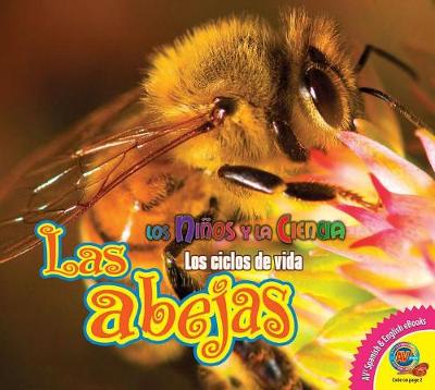 Las Abejas (Bees) by Katie Gillespie