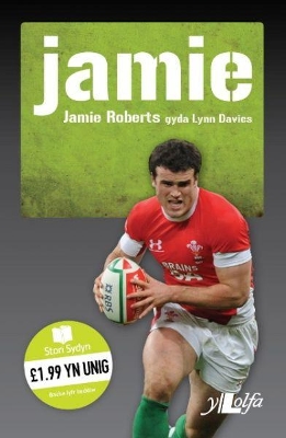 Stori Sydyn: Jamie  Y Llew yn Ne Affrica: Y Llew yn Ne Affrica book