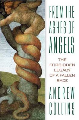 From the Ashes of Angels book
