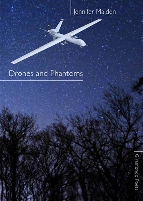 Drones and Phantoms book