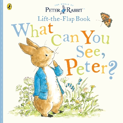 What Can You See Peter?: Very Big Lift the Flap Book book