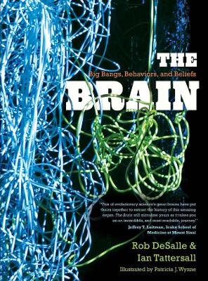The Brain by Rob DeSalle