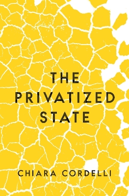 The Privatized State book