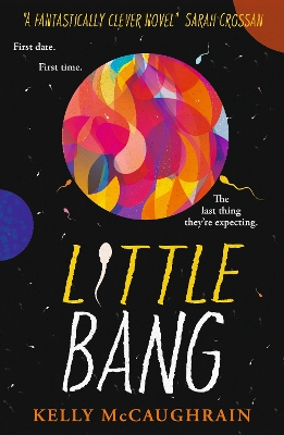 Little Bang book