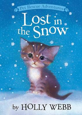 Lost in the Snow book