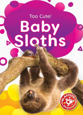 Baby Sloths book