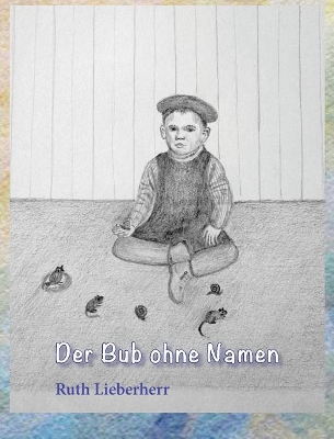 Der Bub ohne Namen book