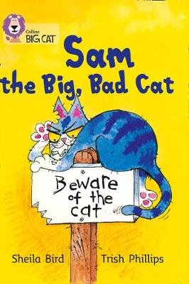 Sam and the Big Bad Cat book