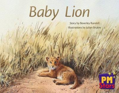 Baby Lion book