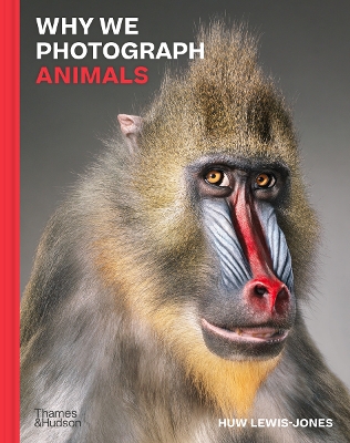 Why We Photograph Animals book