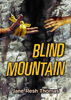 Blind Mountain book