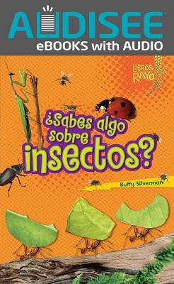 ¿Sabes Algo Sobre Insectos? (Do You Know about Insects?) book