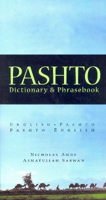 Pashto-English / English-Pashto Dictionary & Phrasebook book