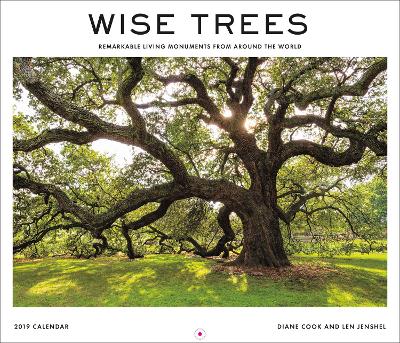 Wise Trees 2019 Wall Calendar: Remarkable Living Monuments from Around the World by Diane Cook