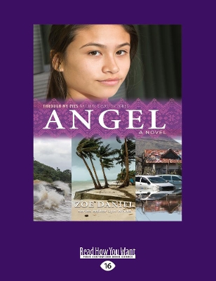 Angel: Through My Eyes - Natural Disaster Zones book