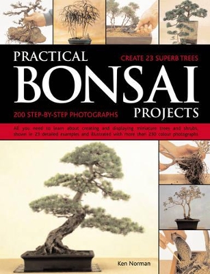 Practical Bonsai Projects book