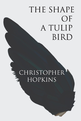 The Shape of a Tulip Bird book