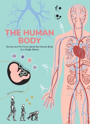 Human Body: Secrets and Fun Facts About the Human Body at a Single Glance book