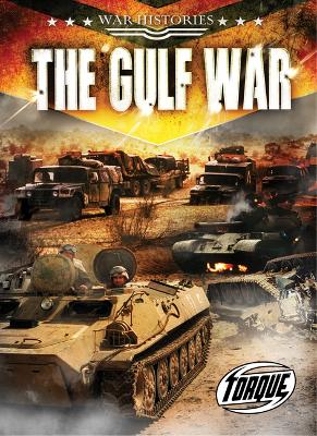The Gulf War book