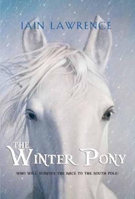 Winter Pony book